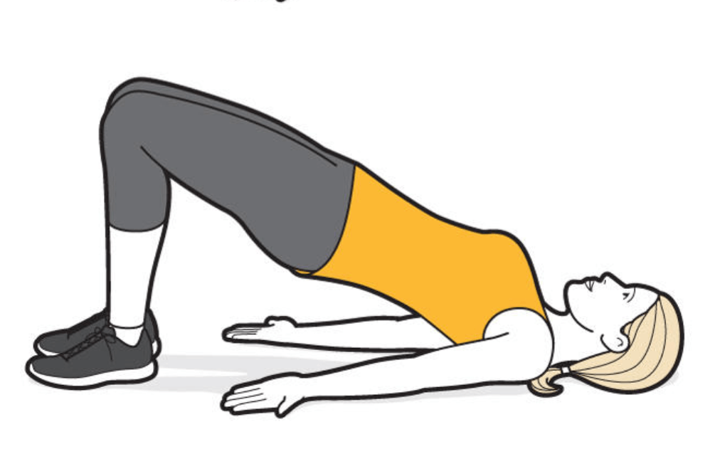 Image result for Pelvic Floor Exercises