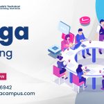 List the job role of a PEGA Developer